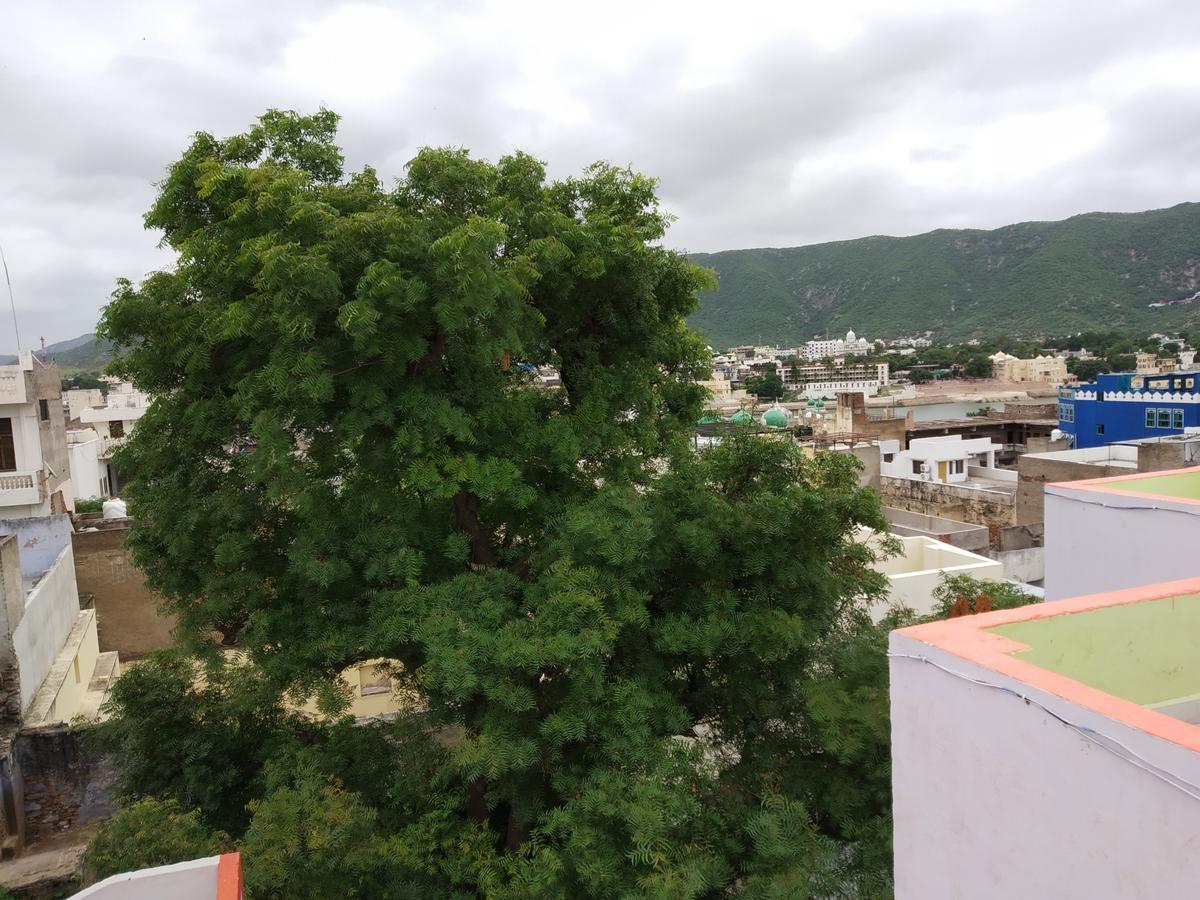 Hotel Paramount Palace Pushkar Extérieur photo